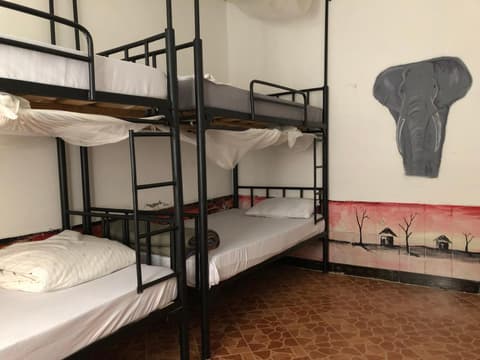 The Greenhouse Hostel Arusha Tanzania