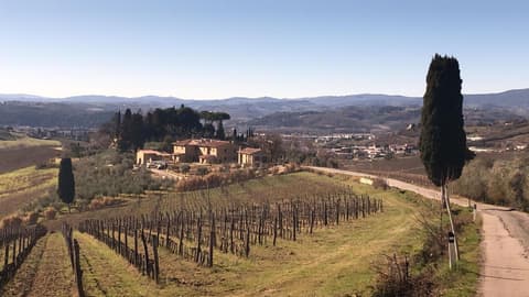 Laura Chianti Vacanze