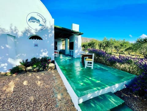 Blue Cow Barn - Boutique Farm, 