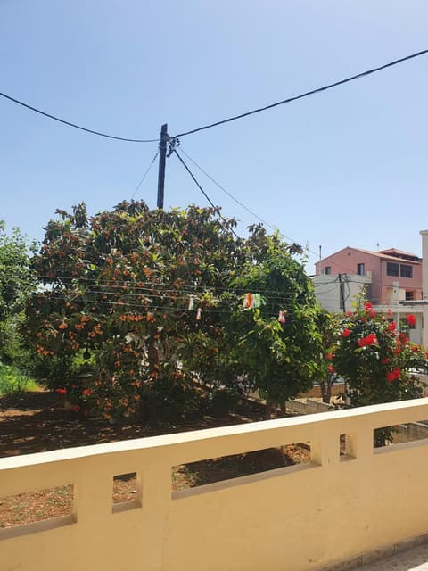 Chania Casa Portokali