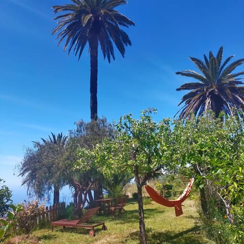 Vistas del Sur