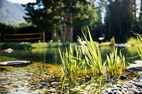 Hotel Gasthof Hirschentenne