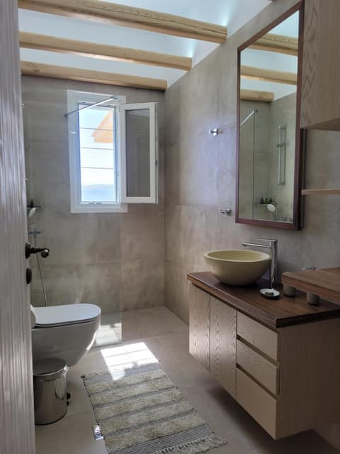 Polivios suites