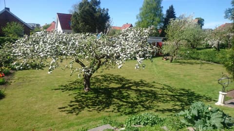 Bymarkens B&B