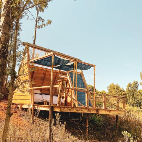 Foresight Eco Lodge & Safari