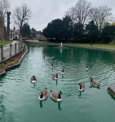 Beddington Park Lodge East, 