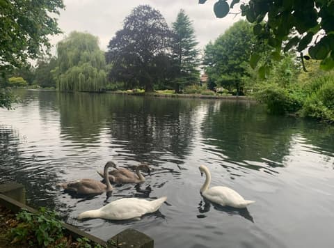 Beddington Park Lodge East, 