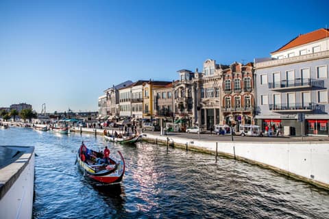 O Cardanho dos Galfarritos - A Casa dos Miúdos