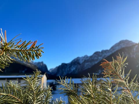 Guesthouse Rosengarten, 