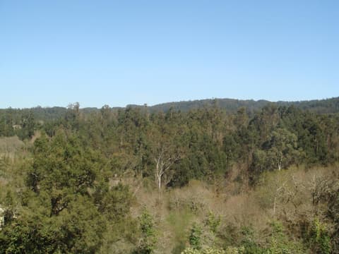 Pensión Residencial Platas