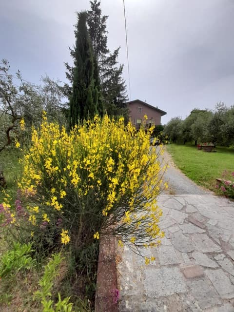 Agriturismo Campo Contile