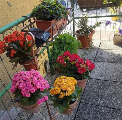 Alloggio con idromassaggio e super vista