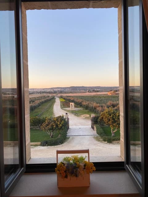 Masseria Sacramento, 