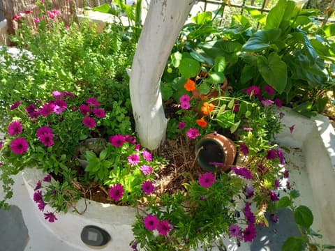 studio in garden