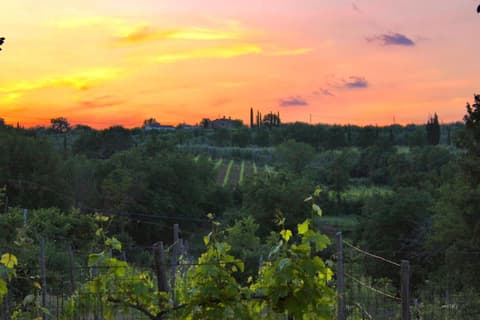 B&B Terre Toscane