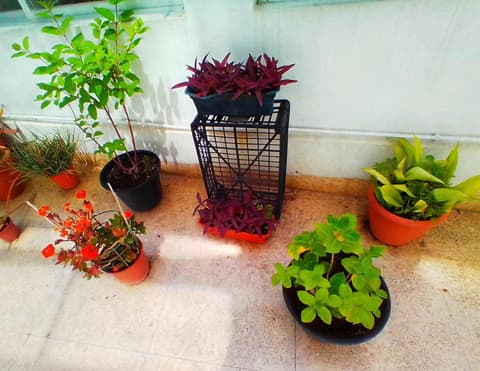 Hostal Pensión Mar de Plata