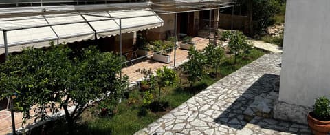 Dionysus Sivota Center