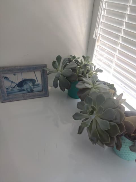 Family Нotel Banuri