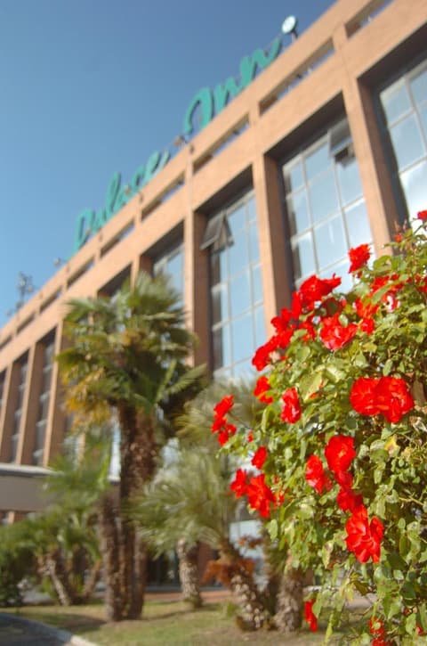 Palace Inn Rome Fiano