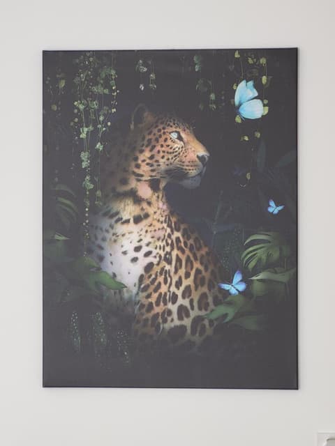 Studio cosy à 5 minutes de DISNEYLAND PARIS