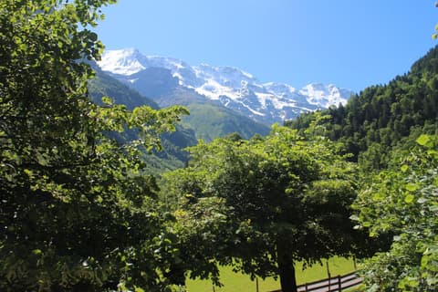 Hotel-Restaurant Stechelberg Bed & Breakfast