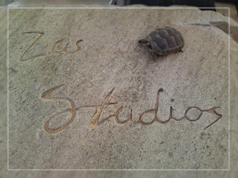 Zas Studios