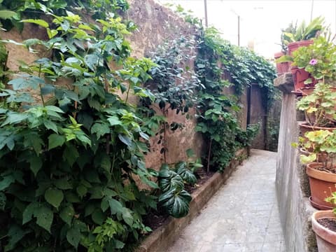 Casa da Judiaria Velha AP