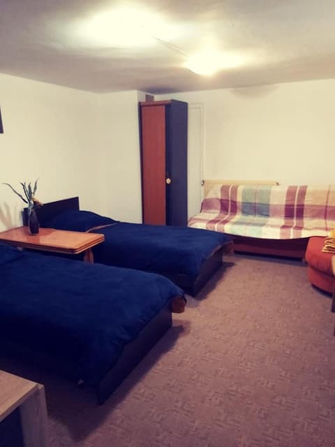 Cameră privata cu baie Tina, Iulius Mall