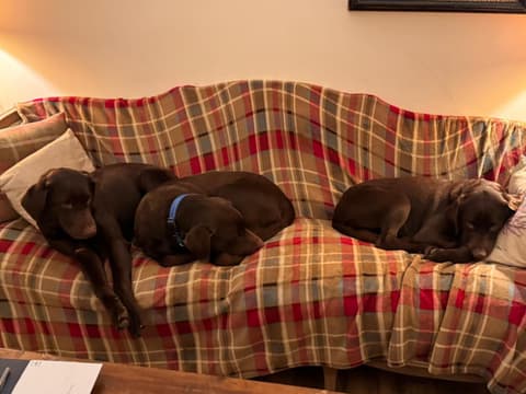 The West Highland Way Hotel and Retreat Accommodation