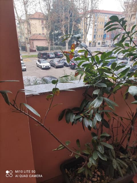 HOSTAL D'ANNUNZIO HOUSe