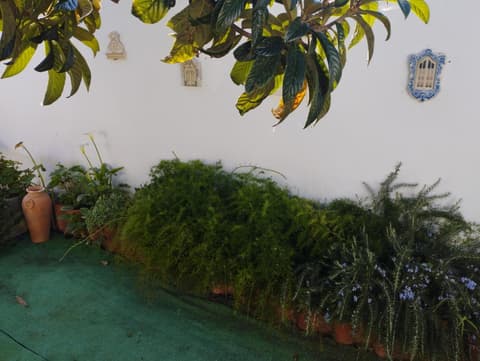 Casa Sarguito
