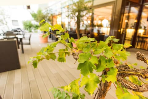 Luna Inn Stuttgart City
