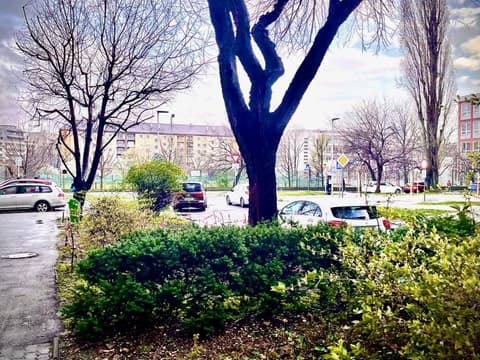 Bratislava City Center