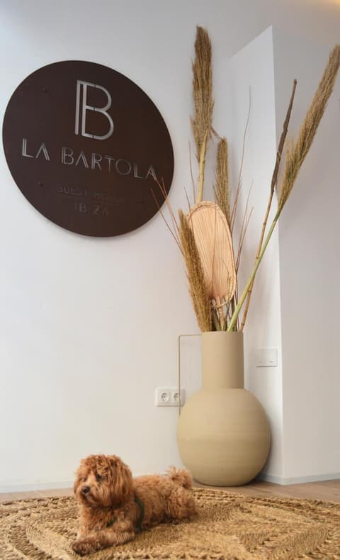 La Bartola Guesthouse