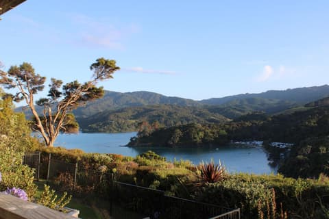 Coromandel Seaview Motel
