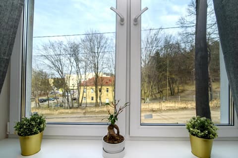 Cozy Loft / Near Gates of Dawn / Netflix