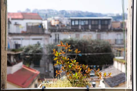 BnB Etnuvio, double rooms in Naples