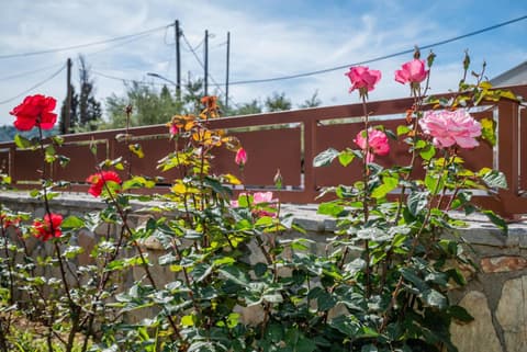 Araucaria Apartments - Close to Tsilivi & Zante Town, by ZanteWize, 