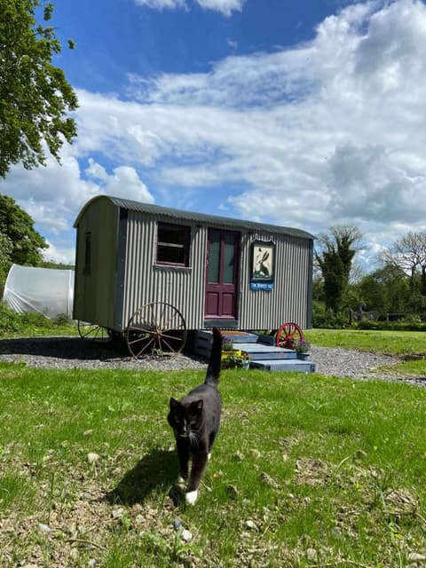 The Hares Hut at Carrigeen Glamping
