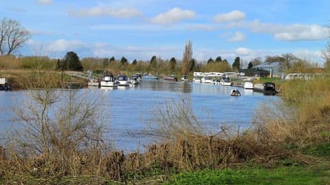 The Old Potting Shed