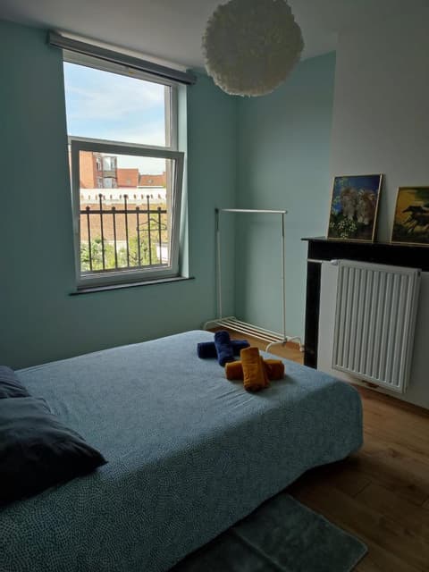 Chambre confortable avec un lit double à schaerbeek cle bleu
