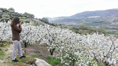 EL RINCON DE MARKESA
