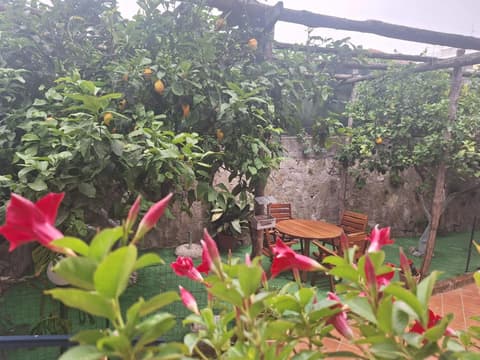 Grazia's Home