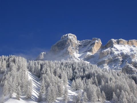 Alpine Hotel Ciasa Lara