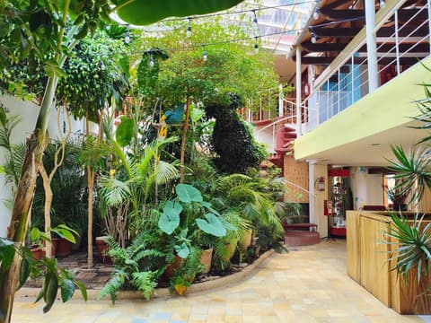 Hotel Barrio Antiguo