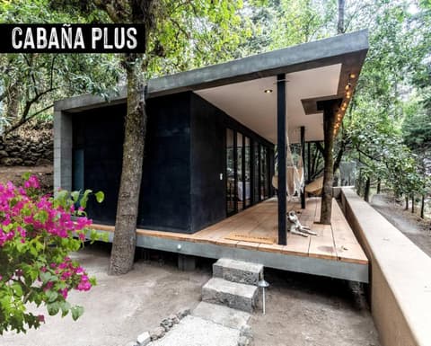 Fungi Tepoz Cabins