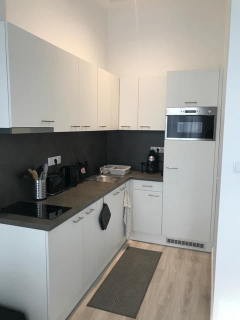 Beautiful newly refurbished studio,fully equipped apartment walking distance to the City Park where you will find the world famous Szechenyi thermal bath spa, Museums , and the Capital Circus , AC, smart TV, high speed internet, 