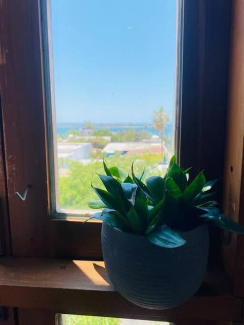 Casa Bahía 2 blocks Malecon Amaizing ocean view