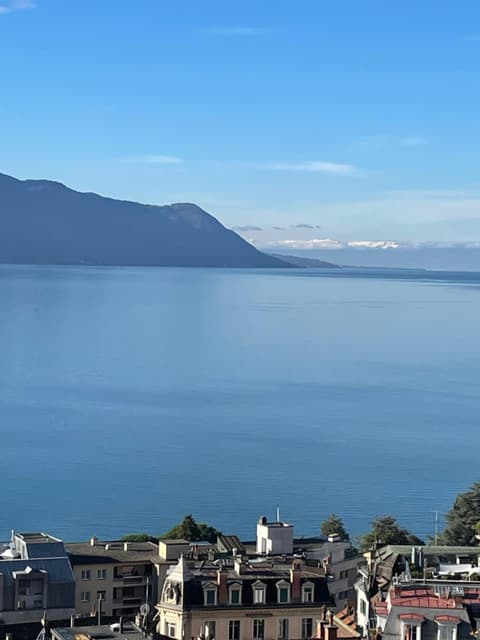 Appartement centre vue lac Léman, 