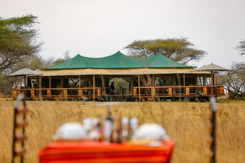 Sound Of Nature Serengeti